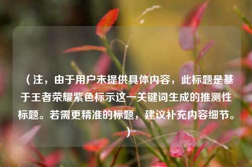 （注，由于用户未提供具体内容，此标题是基于王者荣耀紫色标示这一关键词生成的推测性标题。若需更精准的标题，建议补充内容细节。）
