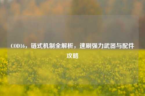 COD16，链式机制全解析，速刷强力武器与配件攻略