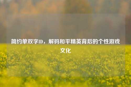 简约单双字ID，解码和平精英背后的个性游戏文化