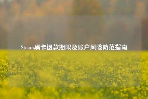 Steam黑卡退款期限及账户风险防范指南