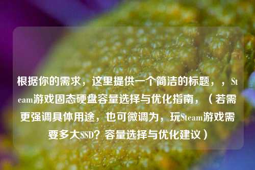 根据你的需求，这里提供一个简洁的标题，，Steam游戏固态硬盘容量选择与优化指南，（若需更强调具体用途，也可微调为，玩Steam游戏需要多大SSD？容量选择与优化建议）
