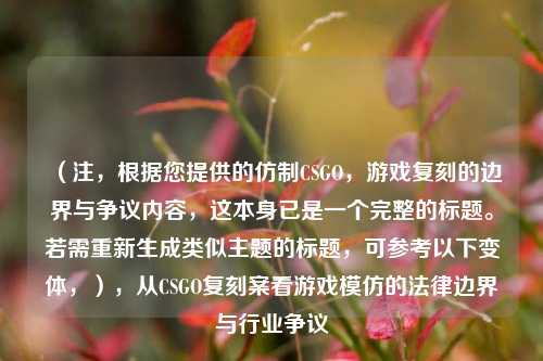 （注，根据您提供的仿制CSGO，游戏复刻的边界与争议内容，这本身已是一个完整的标题。若需重新生成类似主题的标题，可参考以下变体，），从CSGO复刻案看游戏模仿的法律边界与行业争议
