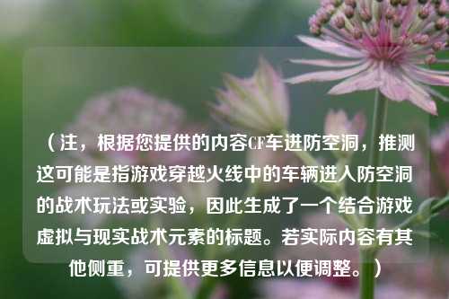 （注，根据您提供的内容CF车进防空洞，推测这可能是指游戏穿越火线中的车辆进入防空洞的战术玩法或实验，因此生成了一个结合游戏虚拟与现实战术元素的标题。若实际内容有其他侧重，可提供更多信息以便调整。）