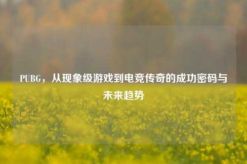 PUBG，从现象级游戏到电竞传奇的成功密码与未来趋势