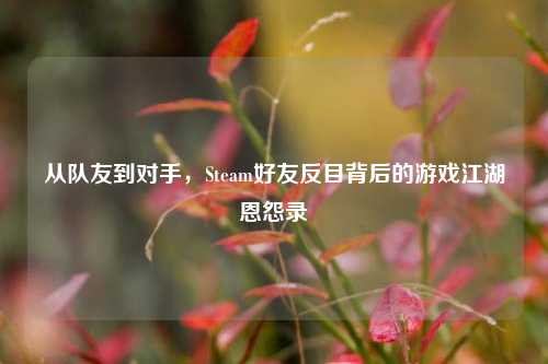 从队友到对手，Steam好友反目背后的游戏江湖恩怨录