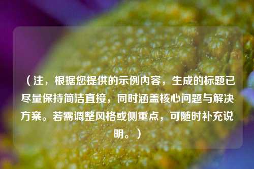 （注，根据您提供的示例内容，生成的标题已尽量保持简洁直接，同时涵盖核心问题与解决方案。若需调整风格或侧重点，可随时补充说明。）