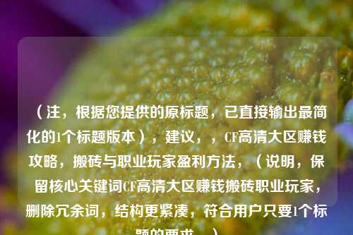 （注，根据您提供的原标题，已直接输出最简化的1个标题版本），建议，，CF高清大区赚钱攻略，搬砖与职业玩家盈利 *** ，（说明，保留核心关键词CF高清大区赚钱搬砖职业玩家，删除冗余词，结构更紧凑，符合用户只要1个标题的要求。）