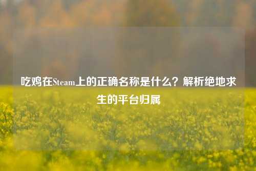 吃鸡在Steam上的正确名称是什么？解析绝地求生的平台归属