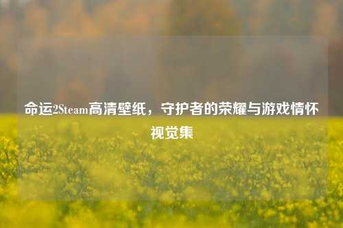 命运2Steam高清壁纸，守护者的荣耀与游戏情怀视觉集