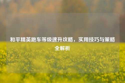 和平精英跑车等级速升攻略，实用技巧与策略全解析