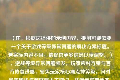（注，根据您提供的示例内容，推测可能需要一个关于游戏等级异常问题的解决方案标题。若实际内容不同，请提供更多信息以便调整。），逆战等级异常问题频发，玩家应对方案与官方修复进展，聚焦玩家核心痛点掉等级，同时涵盖困扰与策略两大关键词，并暗示官方动态，符合解析类文章的平衡性。如需更精准标题，请补充具体内容描述。）
