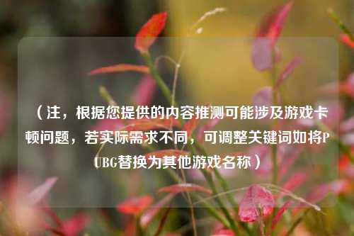 （注，根据您提供的内容推测可能涉及游戏卡顿问题，若实际需求不同，可调整关键词如将PUBG替换为其他游戏名称）