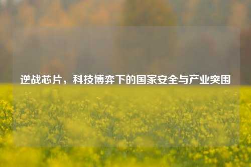 逆战芯片，科技博弈下的国家安全与产业突围