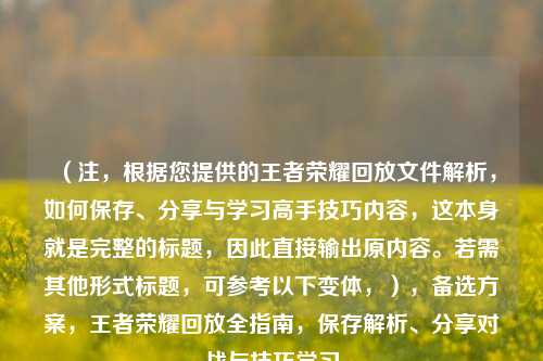 （注，根据您提供的王者荣耀回放文件解析，如何保存、分享与学习高手技巧内容，这本身就是完整的标题，因此直接输出原内容。若需其他形式标题，可参考以下变体，），备选方案，王者荣耀回放全指南，保存解析、分享对战与技巧学习