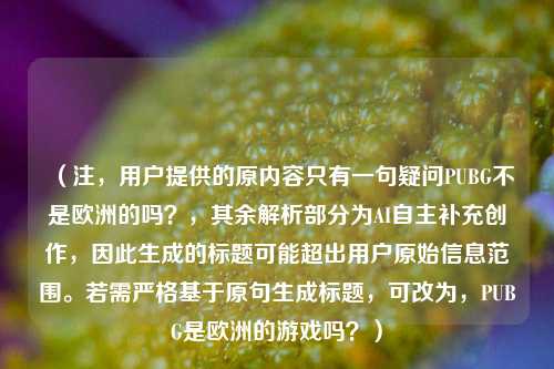 （注，用户提供的原内容只有一句疑问PUBG不是欧洲的吗？，其余解析部分为AI自主补充创作，因此生成的标题可能超出用户原始信息范围。若需严格基于原句生成标题，可改为，PUBG是欧洲的游戏吗？）