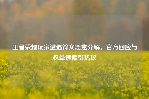 王者荣耀玩家遭遇符文恶意分解，官方回应与权益保障引热议