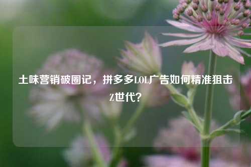 土味营销破圈记，拼多多LOL广告如何精准狙击Z世代？