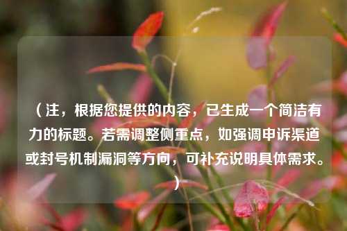 （注，根据您提供的内容，已生成一个简洁有力的标题。若需调整侧重点，如强调申诉渠道或封号机制漏洞等方向，可补充说明具体需求。）