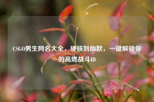 CSGO男生网名大全，硬核到幽默，一键解锁你的高燃战斗ID