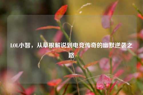 LOL小智，从草根解说到电竞传奇的幽默逆袭之路