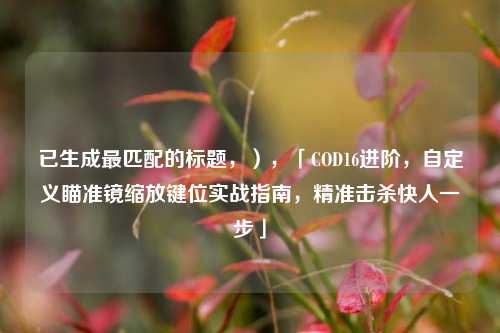 已生成最匹配的标题，），「COD16进阶，自定义瞄准镜缩放键位实战指南，精准击杀快人一步」