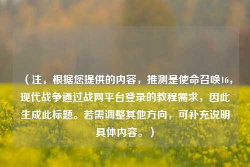 （注，根据您提供的内容，推测是使命召唤16，现代战争通过战网平台登录的教程需求，因此生成此标题。若需调整其他方向，可补充说明具体内容。）