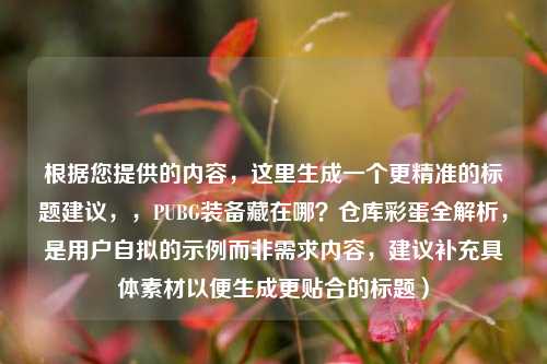 根据您提供的内容，这里生成一个更精准的标题建议，，PUBG装备藏在哪？仓库彩蛋全解析，是用户自拟的示例而非需求内容，建议补充具体素材以便生成更贴合的标题）
