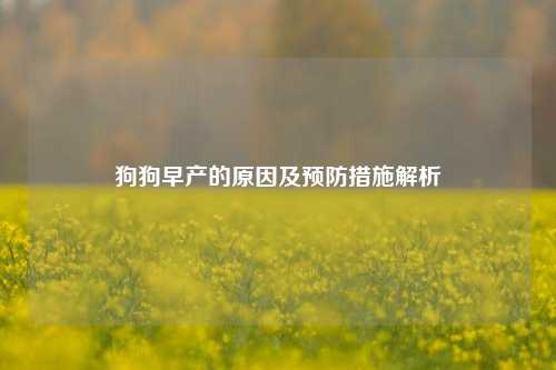狗狗早产的原因及预防措施解析