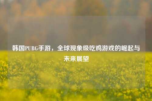 韩国PUBG手游，全球现象级吃鸡游戏的崛起与未来展望