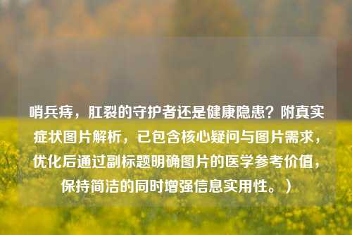 哨兵痔，肛裂的守护者还是健康隐患？附真实症状图片解析，已包含核心疑问与图片需求，优化后通过副标题明确图片的医学参考价值，保持简洁的同时增强信息实用性。）