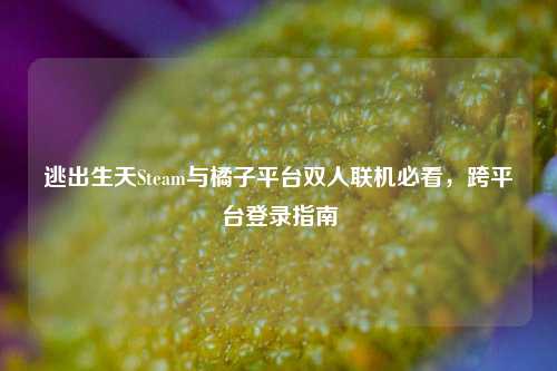 逃出生天Steam与橘子平台双人联机必看，跨平台登录指南