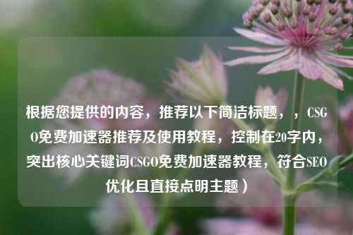 根据您提供的内容，推荐以下简洁标题，，CSGO免费加速器推荐及使用教程，控制在20字内，突出核心关键词CSGO免费加速器教程，符合SEO优化且直接点明主题）