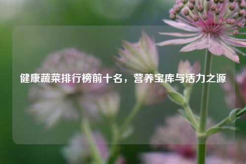 健康蔬菜排行榜前十名，营养宝库与活力之源