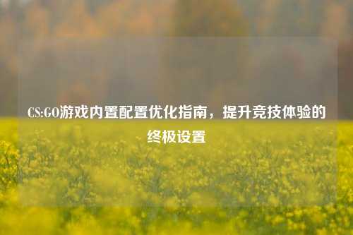 CS:GO游戏内置配置优化指南，提升竞技体验的终极设置