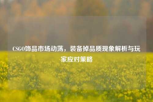 CSGO饰品市场动荡，装备掉品质现象解析与玩家应对策略