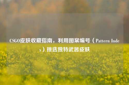 CSGO皮肤收藏指南，利用图案编号（Pattern Index）挑选独特武器皮肤
