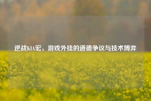 逆战KIA宏，游戏外挂的道德争议与技术博弈