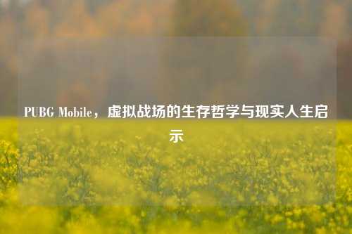 PUBG Mobile，虚拟战场的生存哲学与现实人生启示