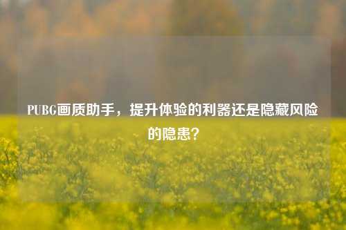 PUBG画质助手，提升体验的利器还是隐藏风险的隐患？