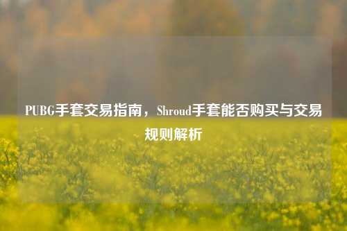 PUBG手套交易指南，Shroud手套能否购买与交易规则解析