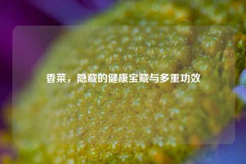 香菜，隐藏的健康宝藏与多重功效