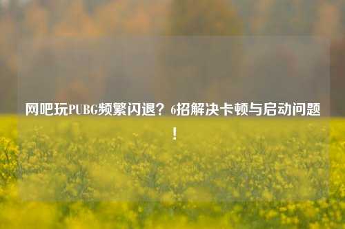 网吧玩PUBG频繁闪退？6招解决卡顿与启动问题！