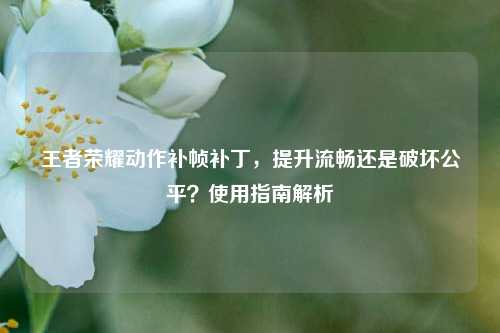 王者荣耀动作补帧补丁，提升流畅还是破坏公平？使用指南解析
