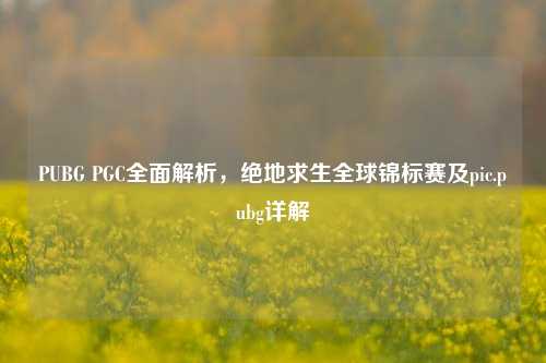 PUBG PGC全面解析，绝地求生全球锦标赛及pic.pubg详解