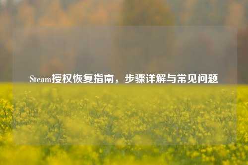 Steam授权恢复指南，步骤详解与常见问题