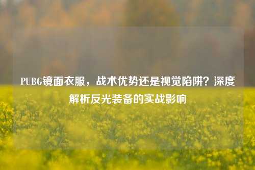 PUBG镜面衣服，战术优势还是视觉陷阱？深度解析反光装备的实战影响