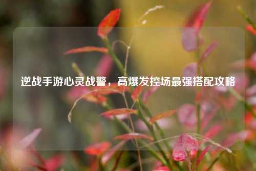 逆战手游心灵战警，高爆发控场最强搭配攻略