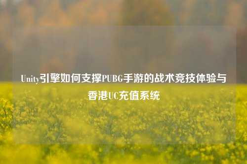 Unity引擎如何支撑PUBG手游的战术竞技体验与香港UC充值系统