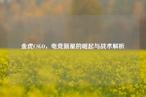 金虎CSGO，电竞新星的崛起与战术解析