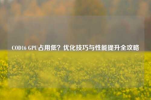 COD16 GPU占用低？优化技巧与性能提升全攻略